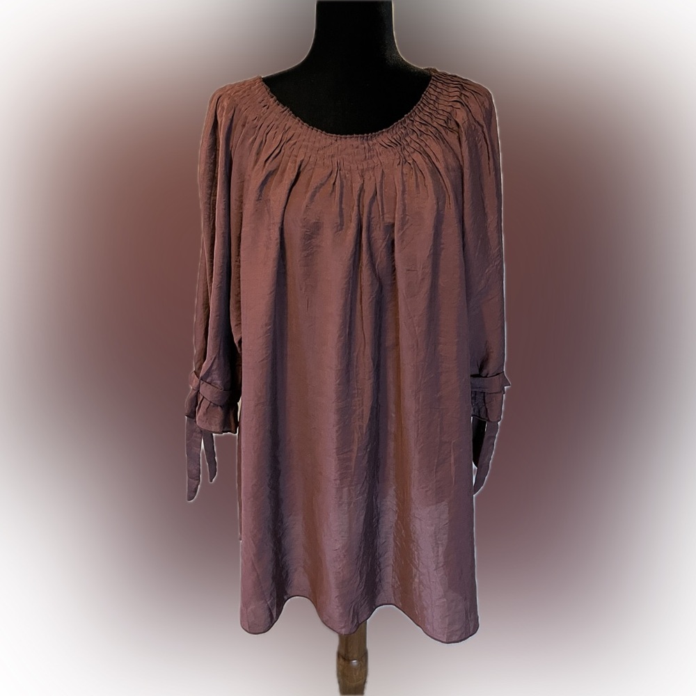 Paisley Vine Swing Tunic Cinnamon size 1X